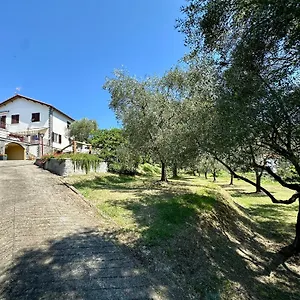 Uliveto Bartolomeo Sestri Levante